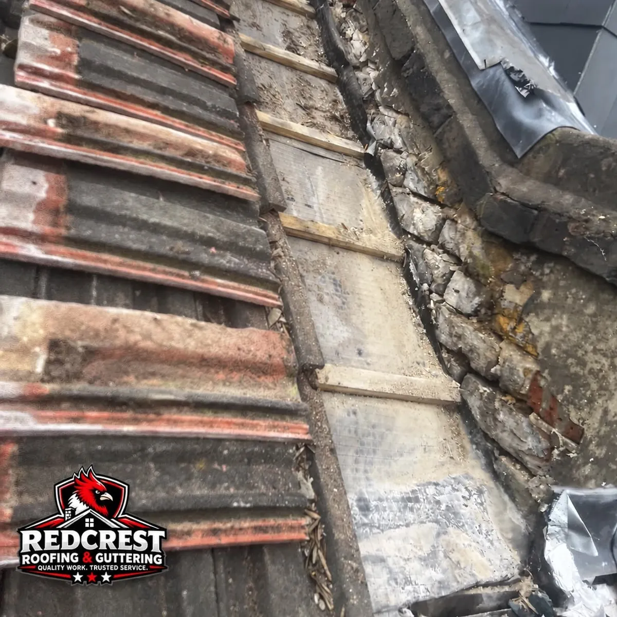 Moss Removal work by Redcrest
